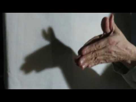 Aventuras Creativas: Juegos de Sombras para Ni&ntilde;os