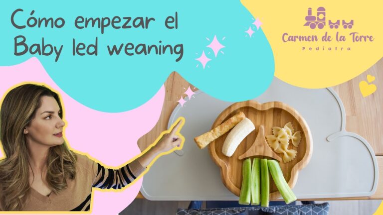 Guía para la Preparación Segura de Alimentos para Niños en la Guardería