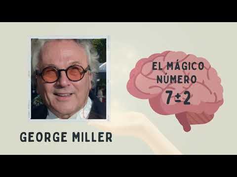 Memoria y atenci&oacute;n: fundamentos del desarrollo cognitivo en ni&ntilde;os