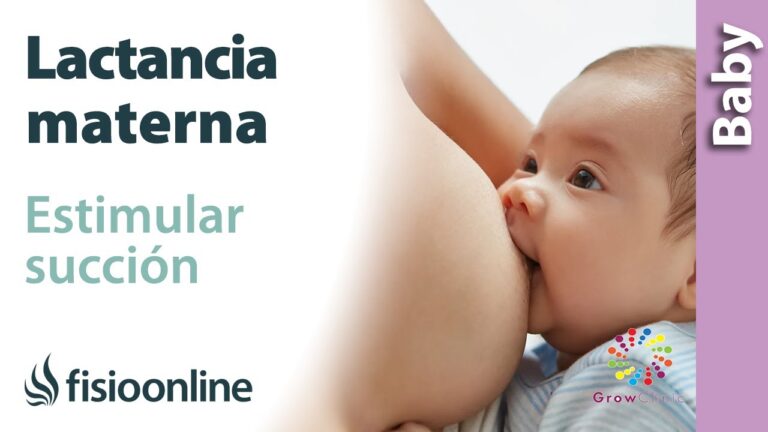 Mejora la T&eacute;cnica de Succi&oacute;n en la Lactancia Materna