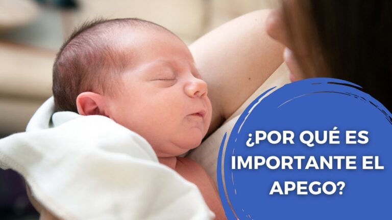 La importancia del apego en el desarrollo emocional infantil