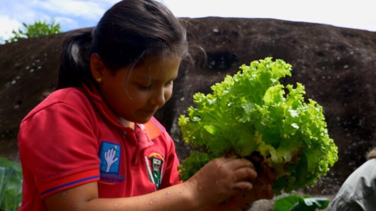 Nutrici&oacute;n &oacute;ptima para ni&ntilde;os en zonas rurales