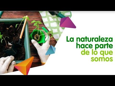 Explorando la Naturaleza con Talleres de Jardiner&iacute;a