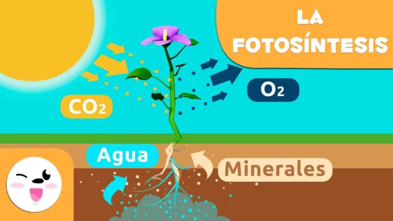 Nutrientes esenciales para alimentar a los niños durante las vacaciones