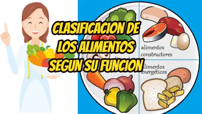 Nutrientes esenciales para una alimentaci&oacute;n infantil saludable en casa