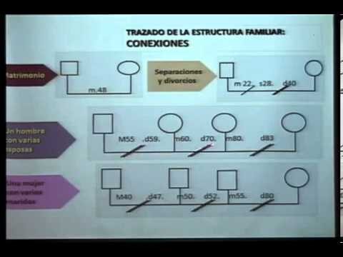 V&iacute;nculos familiares a trav&eacute;s de generaciones