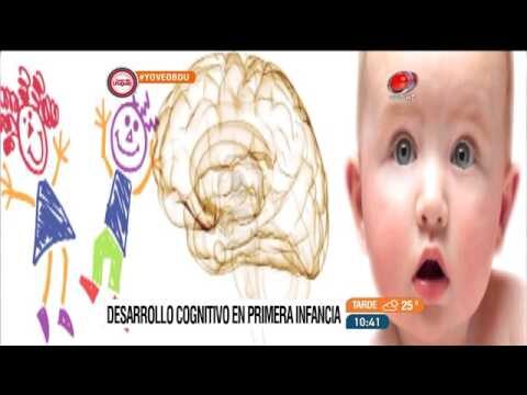 La importancia del desarrollo cognitivo en la educaci&oacute;n infantil