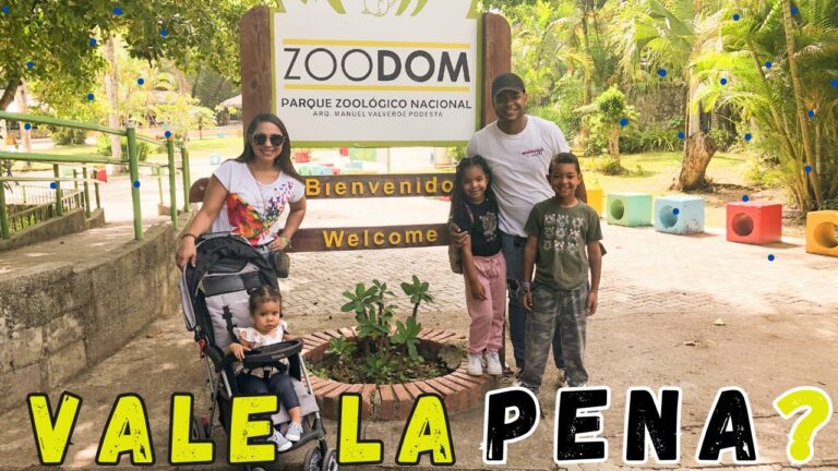 Experiencia gastron&oacute;mica infantil en el zool&oacute;gico