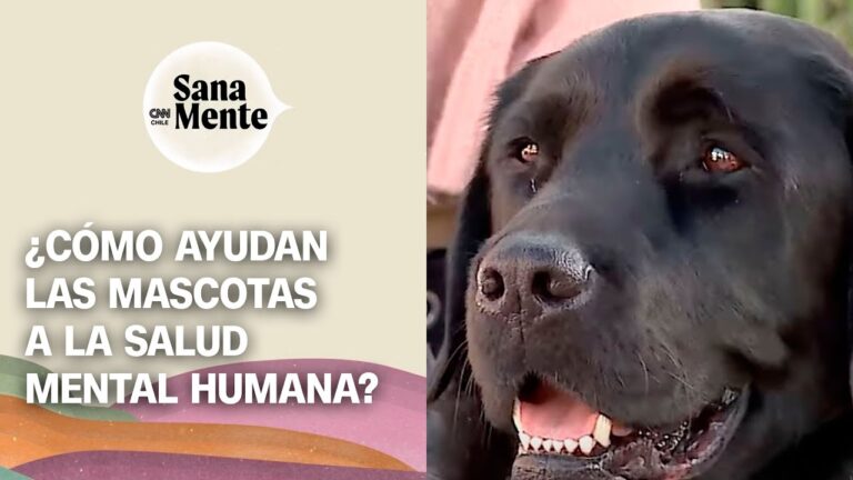 El poder del apoyo emocional en el comportamiento infantil