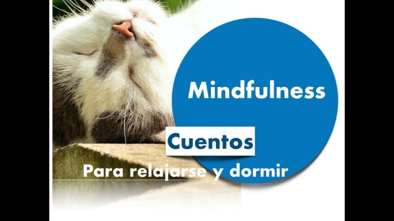 Relatos para inducir el sue&ntilde;o en ni&ntilde;os