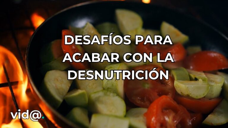 Recomendaciones de prote&iacute;nas para una alimentaci&oacute;n complementaria adecuada en ni&ntilde;os