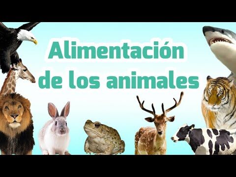 Opciones de alimentaci&oacute;n infantil en el zool&oacute;gico