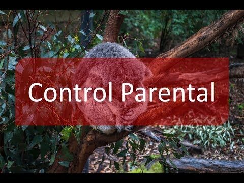 Protegiendo a los Ni&ntilde;os en L&iacute;nea: Control de Contenido en Dispositivos