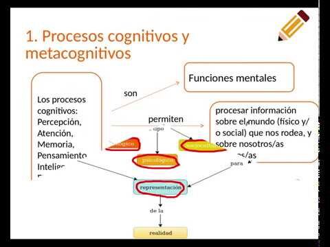 La relaci&oacute;n entre el pensamiento cr&iacute;tico y el desarrollo cognitivo infantil