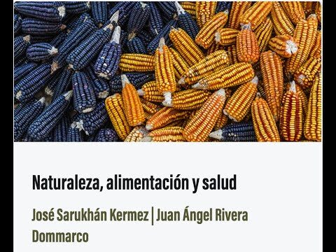 Beneficios de la Diversidad Alimentaria en Ni&ntilde;os