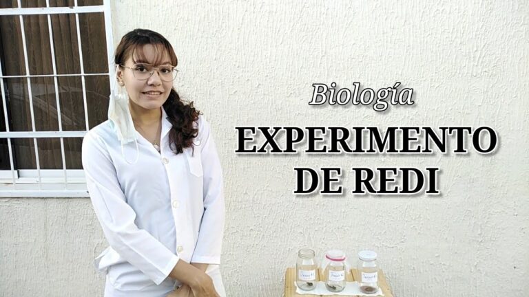 Experimenta y Divi&eacute;rtete: Actividades Cient&iacute;ficas para Ni&ntilde;os