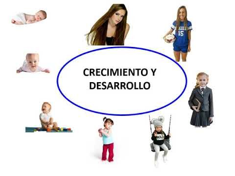 La Importancia del Desarrollo Físico Infantil en el Crecimiento