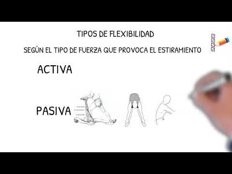 La importancia de la flexibilidad en el desarrollo f&iacute;sico infantil